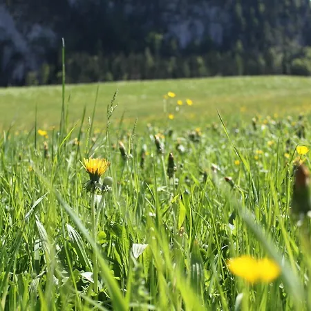Haus Bergheim Lejlighed Unken