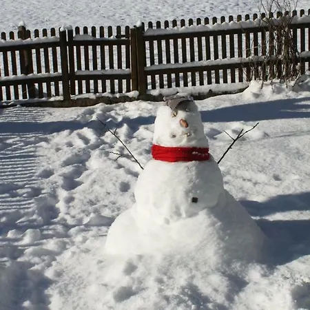 Haus Bergheim 温肯