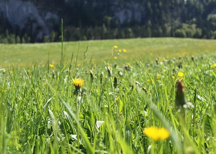 Haus Bergheim Apartmán Unken